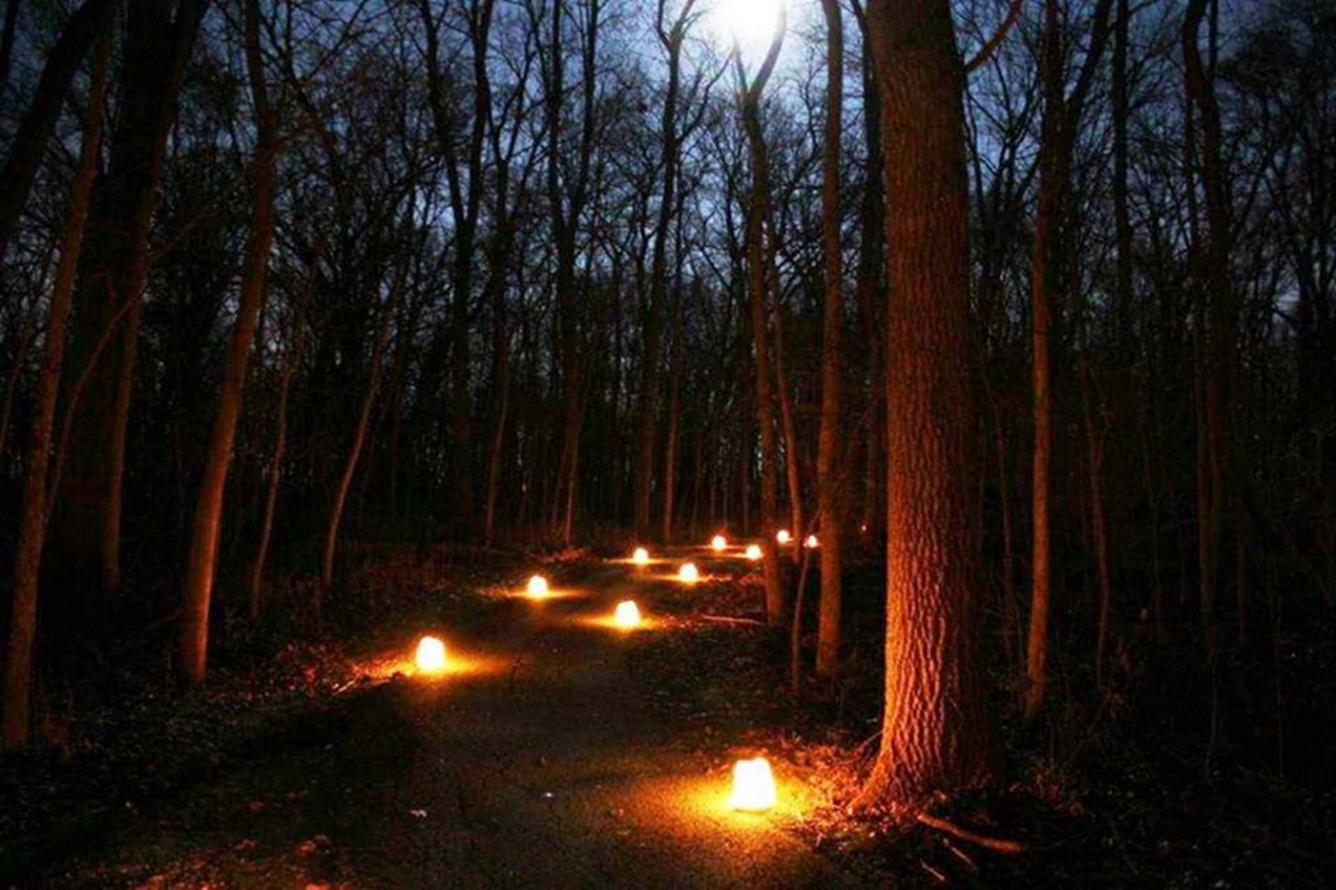 Luminaries on a nature trail